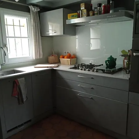 Lulu * Castelmoron-sur-Lot